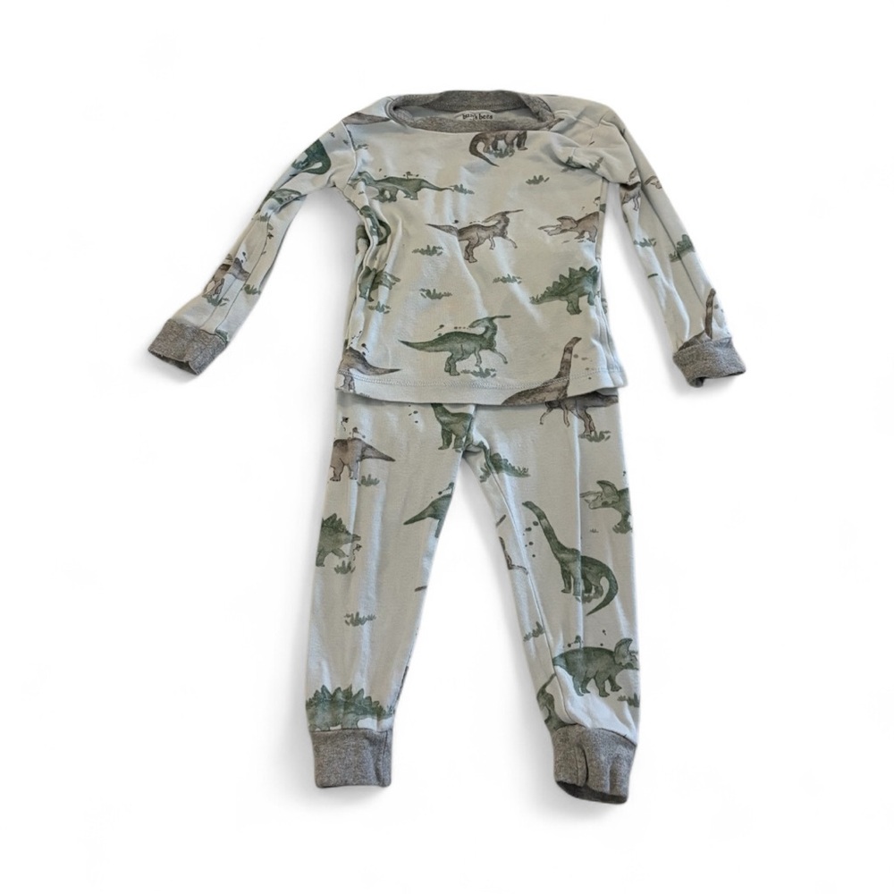 Dinosaur Adventure Burts Bees Kids Pajama Set